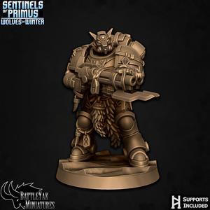Knight-Sentinel Vigilant E