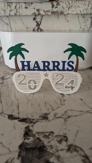 Harris 2024 Coconut Tree Glasses