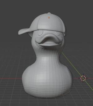 Duck Hat