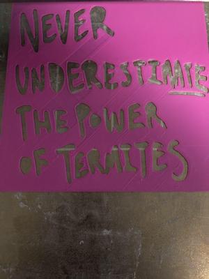never underestimate the power of termites