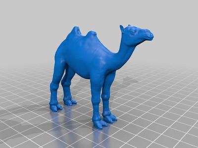 ラクダ（Camel）3Dデータ
