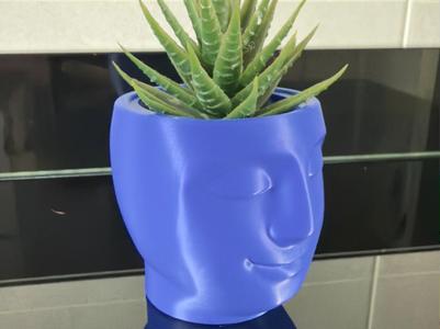 Face Vase - Object Holder