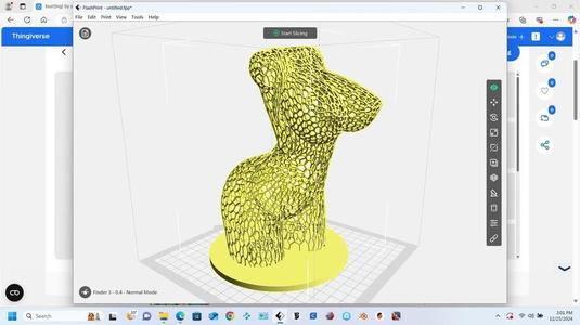 voronoi bust big(remix)