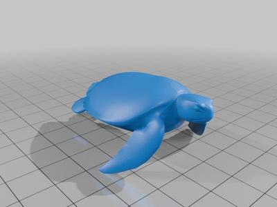 Sea Turtle