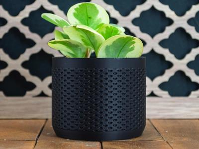 Indoor Plant Pot