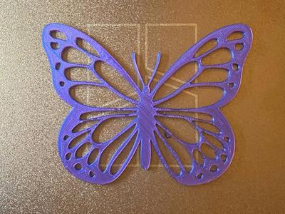 Butterfly 