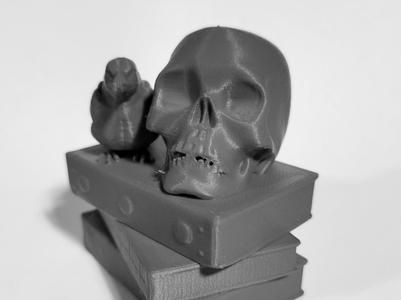 Skull and crow on books