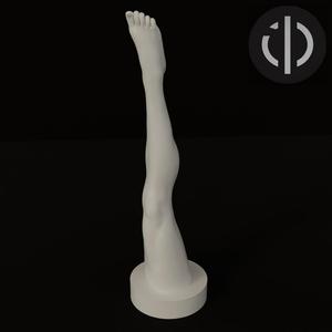 "THE LEG" 01