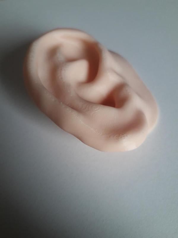 Human Ear
