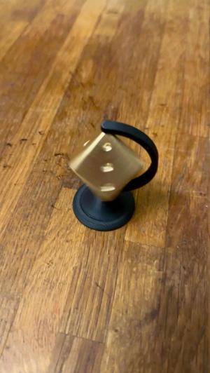 Dice holder (spinning)