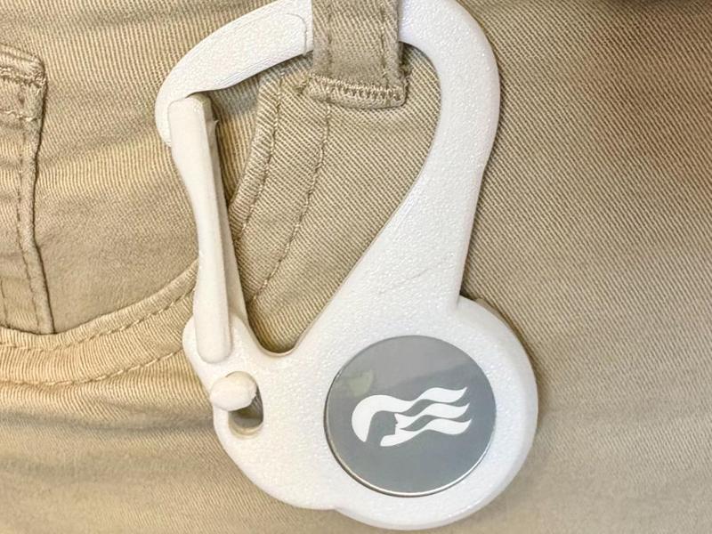 Carabiner Clip for Princess Medallion