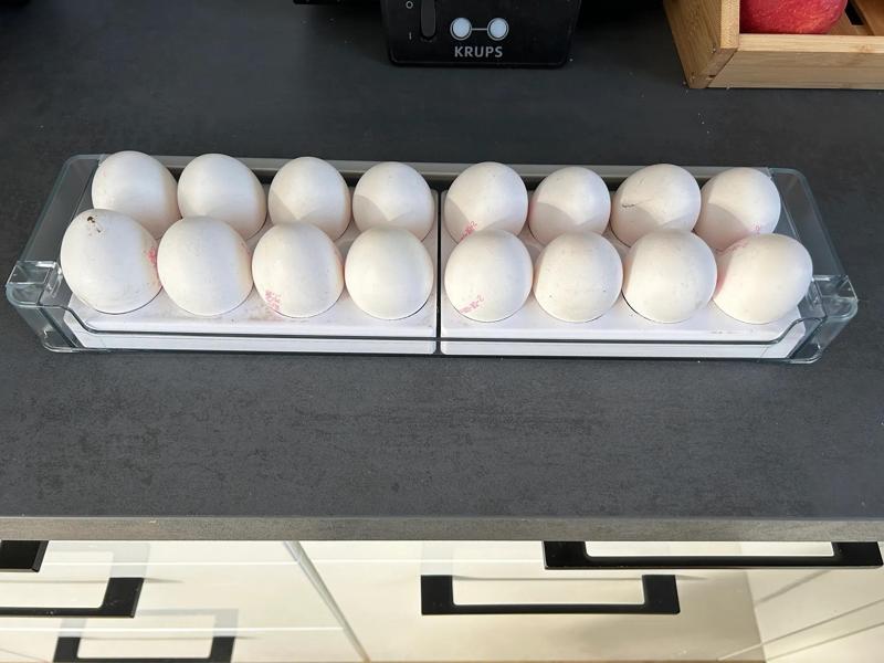 Eierhalter für Siemens und Bosch Kühlschränke