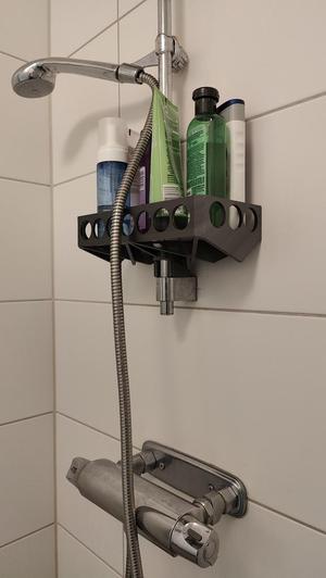 Shower storage