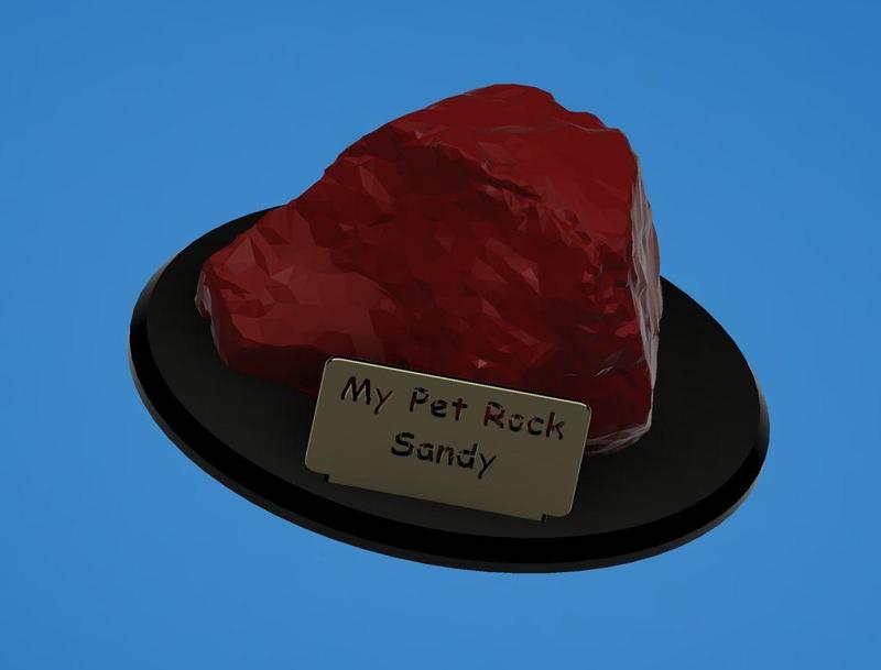 Sandy the Pet Rock