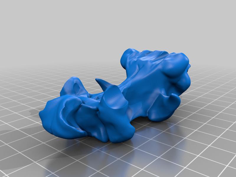 Cobra Skull Individual sections