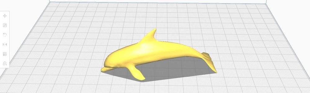 Delphin-Delfin