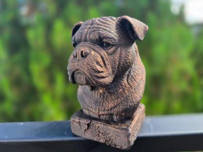 CONTINENTAL BULLDOG BUST