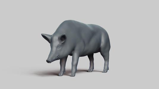 wildboar pose 01