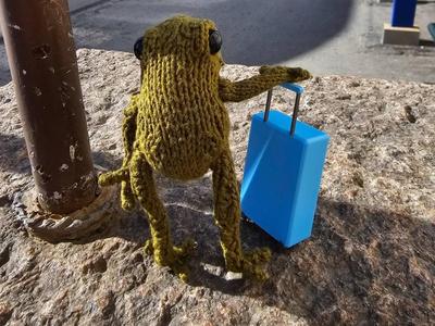 Luggage for a crochet frog doll