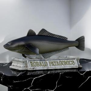 robalo patagonico / Patagonian blennie / Eleginops maclovinus stone base detailed texture for 3d printing