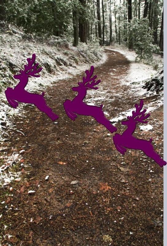 SWEET CHRISTMAS REIN