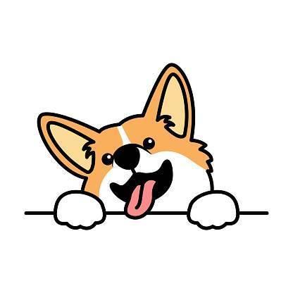 CORGI PEMBROKE PIN / BROOCH COLORED