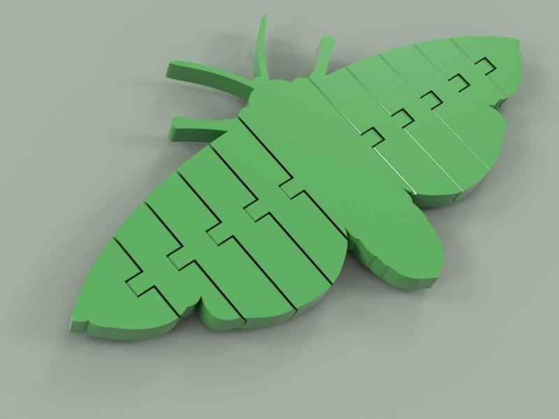 Flexi Articulated Moth