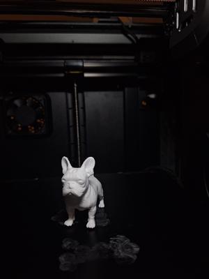 Royal French Bulldog