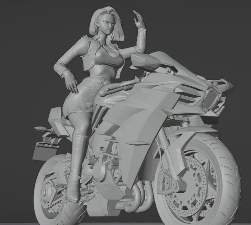 Number 18 on Dragon ball motorcycle