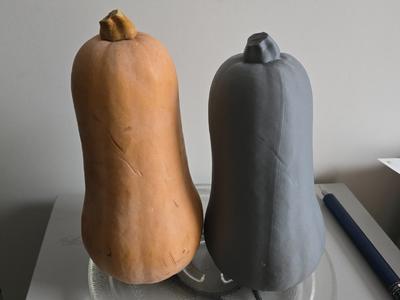 Butternut scan