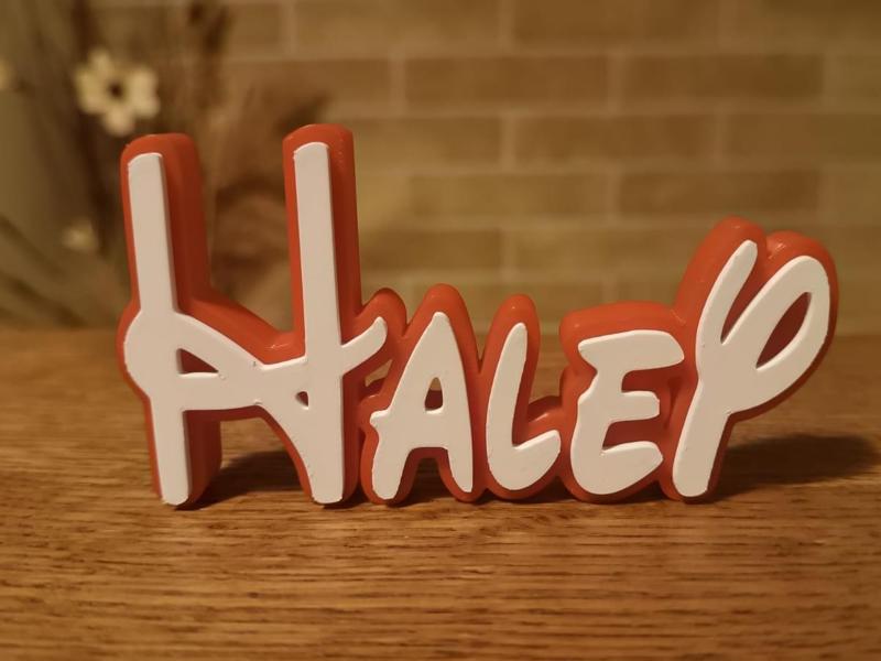 Disney Name Sign Haley Kid Room Wall Decor Tag 