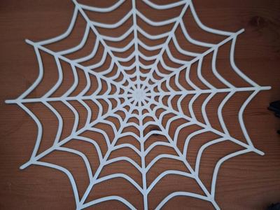 spider web