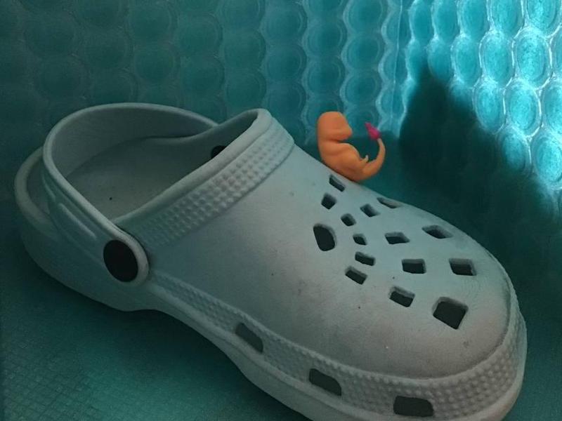 Charmander Croc Charm