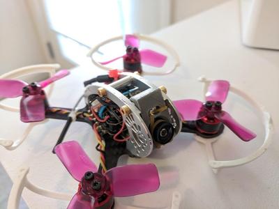 Fly Egg 100 Camera Mount
