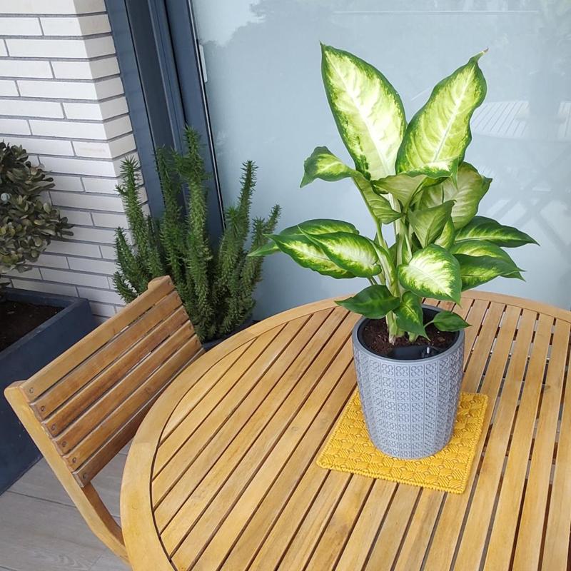 Self-Watering Planter - PANOT BCN