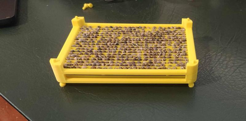 Egg Tray for Spiny Leaf Stick Insect eggs & other similar sized eggs.