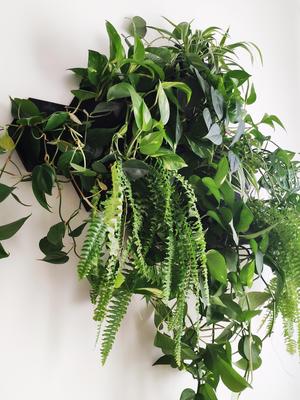 Hex Pot - vertical planter system