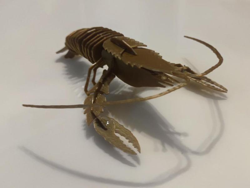 Crayfish Model, Brick Assembly, Figurine