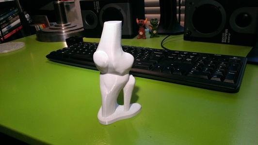 Knee joint