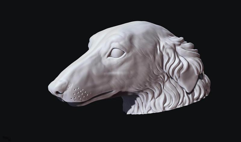 Borzoi Dog Head