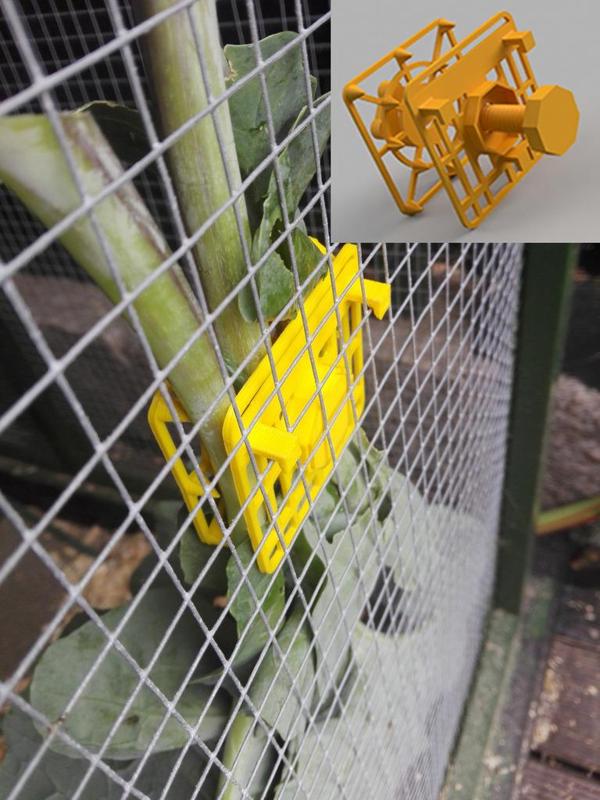 Veggie feeder for chickens - Pinza para vegetales en gallinero
