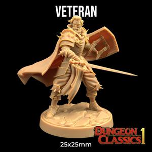 Veteran | PRESUPPORTED | Dungeon Classics