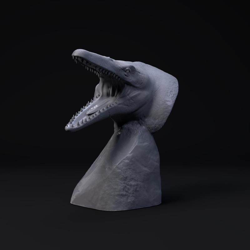 Megapterygius Wakayamaensis bust - pre supported