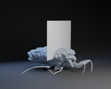 Water bug Business Card Holder