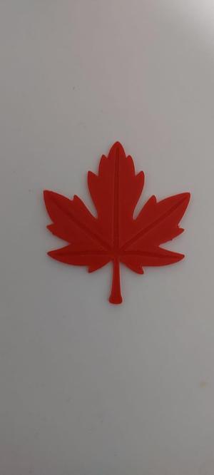 Maple leaf