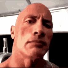 rocktpouse