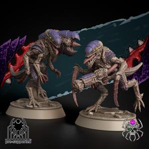Destroyers of The Hive