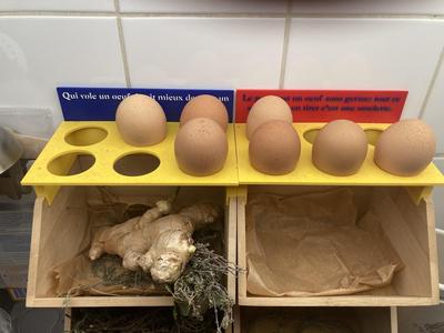 Egg Plate with funny text