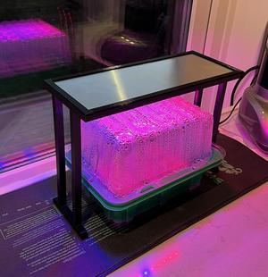Mini Growlights