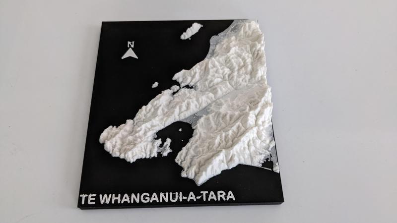 Wellington topological relief plague
